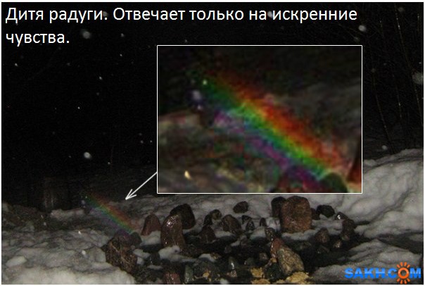 Белая радуга ответить на вопросы