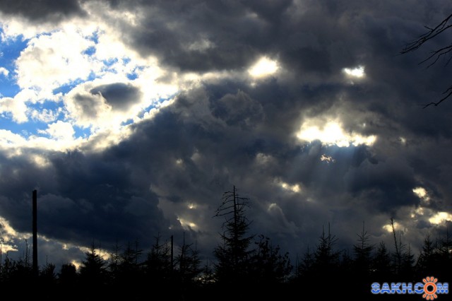 Небо сердится
Фотограф: vikirin

Просмотров: 1800
Комментариев: 0