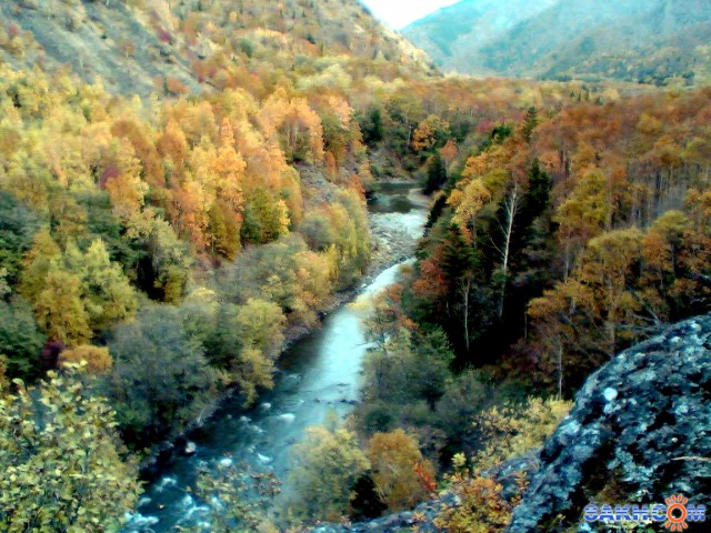 Image(057)

Просмотров: 5060
Комментариев: 2