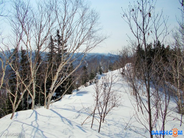 DSCN0258
