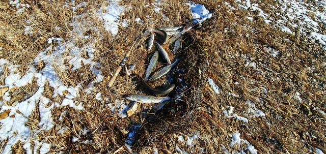 20211128_125712

Просмотров: 437
Комментариев: 0