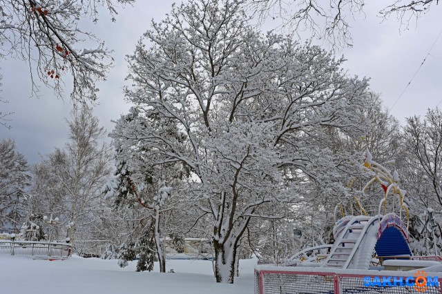 096-к

Просмотров: 671
Комментариев: 0