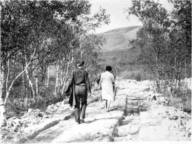 крыс. :: История :: Лес