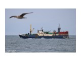 Название: ОПЛОТ  МИРА.  (Бывший КАПИТАН АСАУЛЕНКО).   (IMO 8922981,  MMSI @?,  CS  UADY)  Татарский пролив.
Фотоальбом: СУДА  ОКЕАНОВ.
Категория: Море
Фотограф: 7388PetVladVik

Время съемки/редактирования: 2022:11:18 22:55:22
Фотокамера: Canon - Canon EOS 750D
Диафрагма: f/5.6
Выдержка: 1/250
Фокусное расстояние: 187/1



Просмотров: 454
Комментариев: 0