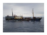 АПОСТОЛ ПЁТР.  (бывший НЕКРАСОВСК).
Фотограф: 7388PetVladVik

Просмотров: 6867
Комментариев: 2
