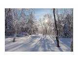 IMG_8778

Просмотров: 576
Комментариев: 0