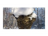 *** 
Фотограф: vikirin

Просмотров: 2080
Комментариев: 0