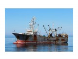 КАСИМА МАРУ 8.
Фотограф: 7388PetVladVik

Просмотров: 5835
Комментариев: 2