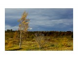 Название: Ветреный день
Фотоальбом: Корсаков осень 2012
Категория: Природа

Просмотров: 665
Комментариев: 1