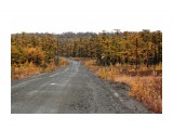 Название: Дорога американская, лучше асфальта
Фотоальбом: 2013 10 10 Горловина Лунского залива..Шторм
Категория: Природа
Фотограф: vikirin

Время съемки/редактирования: 2013:10:22 21:10:57
Фотокамера: Canon - Canon EOS Kiss X3
Диафрагма: f/5.6
Выдержка: 1/1000
Фокусное расстояние: 123/1



Просмотров: 1656
Комментариев: 1