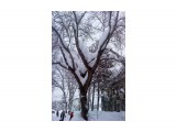 В снегу..
Фотограф: vikirin

Просмотров: 2906
Комментариев: 0