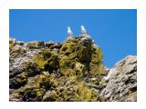 Фото 3

Просмотров: 2296
Комментариев: 0