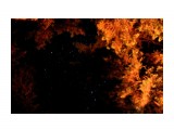 Кусочек звездного неба в еловых кронах
Фотограф: vikirin

Просмотров: 3160
Комментариев: 0