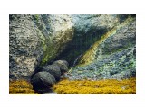 обработка
Фотограф: ©  marka
/ баланс белового уходит в синеву поэтому совмещал два кадра / немного вытянул тени, что бы не было черных дыр / в миниатюре шарп /

Просмотров: 1425
Комментариев: 7