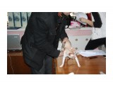 Название: че ты собралась смотреть?
Фотоальбом: выставка кошек 20.12.09
Категория: Животные

Время съемки/редактирования: 2009:12:20 15:25:44
Фотокамера: Canon - Canon EOS 1000D
Диафрагма: f/4.5
Выдержка: 1/60
Фокусное расстояние: 35/1
Светочуствительность: 400


Просмотров: 766
Комментариев: 0