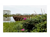 Красногорский мост.
Фотограф: фотохроник

Просмотров: 656
Комментариев: 0