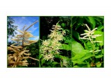 MyCollages

Просмотров: 190
Комментариев: 0