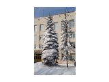 Толстый и Тонкий
Фотограф: VictorV

Просмотров: 2451
Комментариев: 0