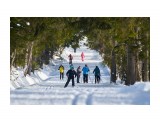 _DSC5350-