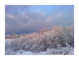 Первый снег 29 октября.. Пушистое утро
Фотограф: vikirin

Просмотров: 3210
Комментариев: 0