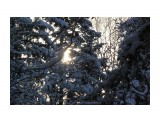 Зимний лес.. декабрь...
Фотограф: vikirin

Просмотров: 2252
Комментариев: 0