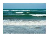 Волны большого (2,3 м.) прилива,ветрище поднял в тихой мелкой бухте шторм
Фотограф: vikirin

Просмотров: 1265
Комментариев: 0