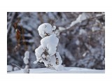 Лыжник ))
Фотограф: VictorV

Просмотров: 385
Комментариев: 0