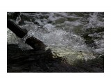 Бежит речка горная.. водой плещется..
Фотограф: vikirin

Просмотров: 2059
Комментариев: 0