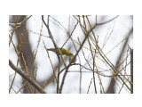 :)
Фотограф: VictorV

Просмотров: 430
Комментариев: 0