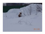 DSC09501

Просмотров: 810
Комментариев: 0