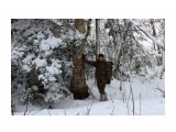 В лесу берендеевском...
Фотограф: vikirin

Просмотров: 2069
Комментариев: 0