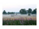 Название: 2016 08 09 туман на полях в Белом....
Фотоальбом: ЛЕТО...
Категория: Пейзаж
Фотограф: vikirin

Время съемки/редактирования: 2016:08:10 13:46:04
Фотокамера: SONY - NEX-5T
Диафрагма: f/5.6
Выдержка: 1/160
Фокусное расстояние: 500/10



Просмотров: 1781
Комментариев: 1