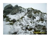 Название: S8004399
Фотоальбом: 2010.05.10 Пик Чехова
Категория: Природа

Время съемки/редактирования: 2010:05:10 15:11:38
Фотокамера: Samsung Techwin - 
Диафрагма: f/7.1
Выдержка: 1/500
Фокусное расстояние: 74/10
Светочуствительность: 50


Просмотров: 671
Комментариев: 0