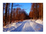 лиственницы

Просмотров: 481
Комментариев: 0