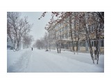 DSC05993