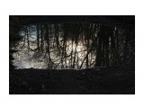 На дороге...
Фотограф: vikirin

Просмотров: 2213
Комментариев: 0