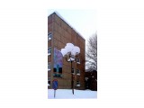 В снегу..
Фотограф: vikirin

Просмотров: 3796
Комментариев: 0