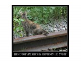 x_3ff49937

Просмотров: 461
Комментариев: 0