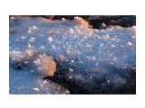 29
Фотограф: vikirin

Просмотров: 1165
Комментариев: 0