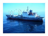 КАПИТАН КИРИЧЕНКО.  
Фотограф: 7388PetVladVik

Просмотров: 5591
Комментариев: 0
