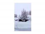 В снегу..
Фотограф: vikirin

Просмотров: 2978
Комментариев: 0