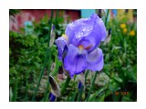 DSC08641

Просмотров: 508
Комментариев: 0