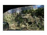 После циклона дорога завалена сломаными лиственницами и елками
Фотограф: vikirin

Просмотров: 1330
Комментариев: 0