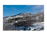 Сюжет
Фотограф: фотохроник

Просмотров: 469
Комментариев: 0