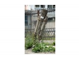 архитектурное решение по русски
Фотограф: © marka

Просмотров: 1690
Комментариев: 0