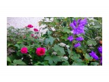 DSC03869

Просмотров: 293
Комментариев: 0