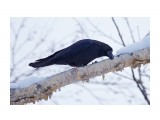_DSC5919

Просмотров: 463
Комментариев: 0
