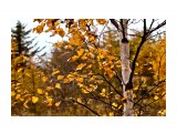 Для настроения.

Просмотров: 572
Комментариев: 0