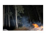 Костер в ночии едва освещает огромные елки
Фотограф: vikirin

Просмотров: 3043
Комментариев: 0