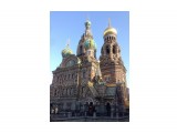 Спас на крови.

Просмотров: 519
Комментариев: 